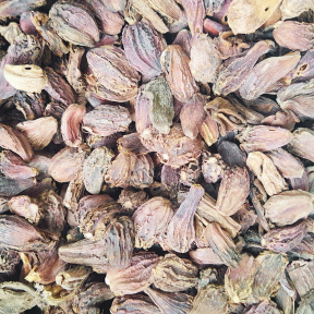 Large cardamom