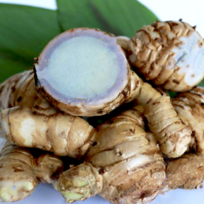 Black Turmeric