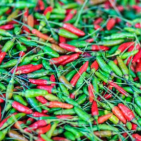 Bird Eye Chili